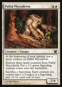 Pallid Mycoderm